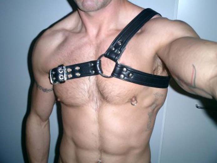 leather harnesses