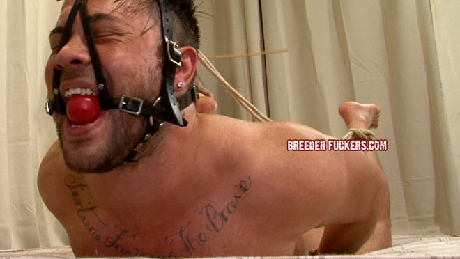 Shane is expertly tied and gets a face full of cum