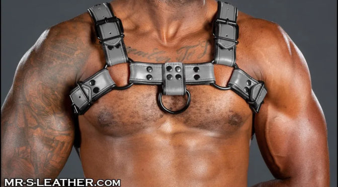 Harnesses for men