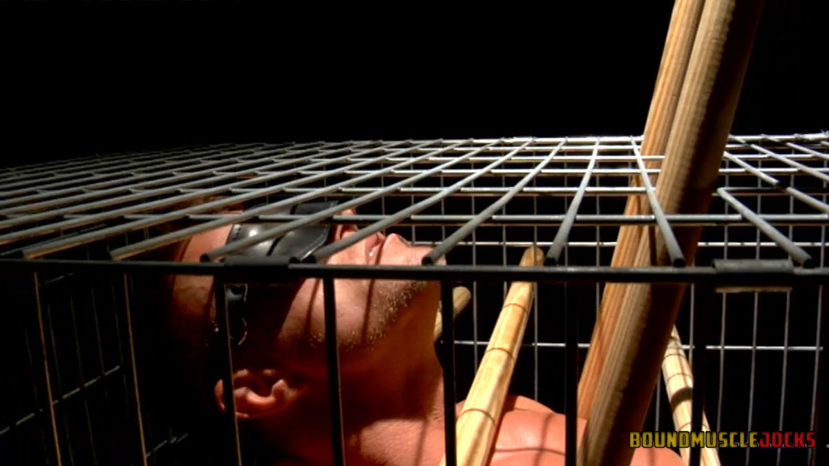 Cage Bondage - Pictures and video: Tyler Saint in a cage | MetalbondNYC.com