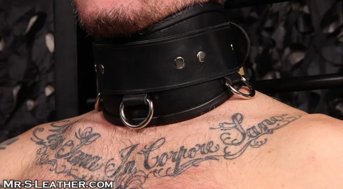 Male BDSM gear: Collars and leashes