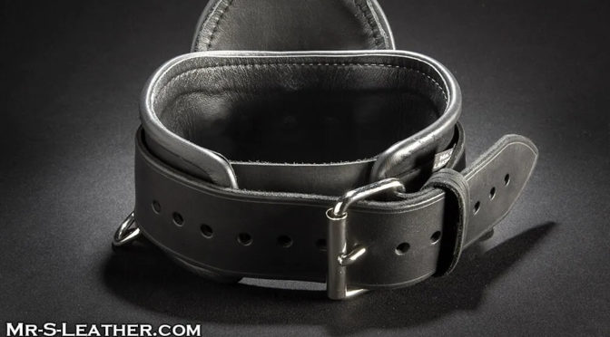 leather posture collar