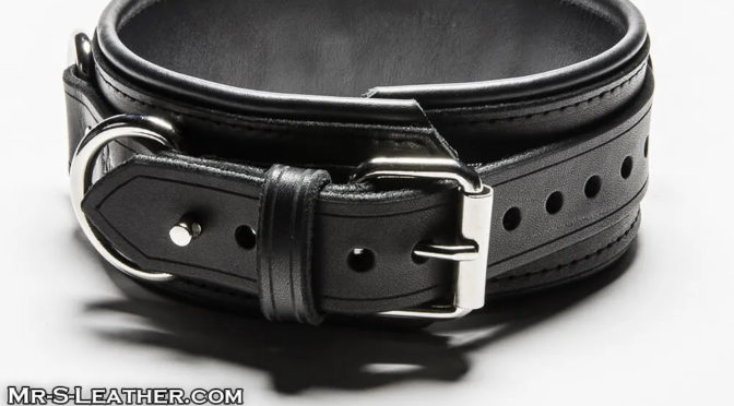 A leather collar that can be locked on