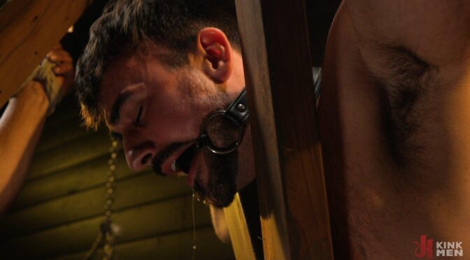 Welcome to the submissive slut dungeon training challenge