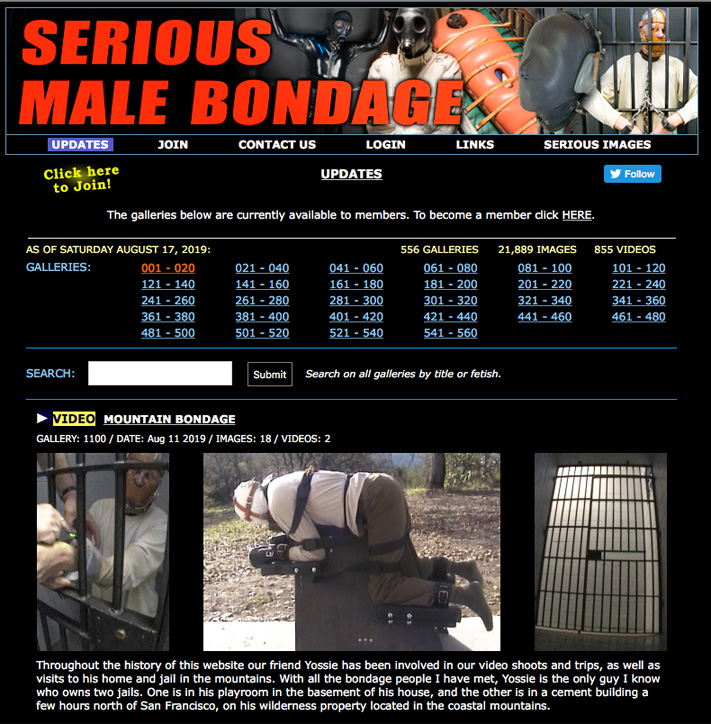Serious Male Bondage search bar