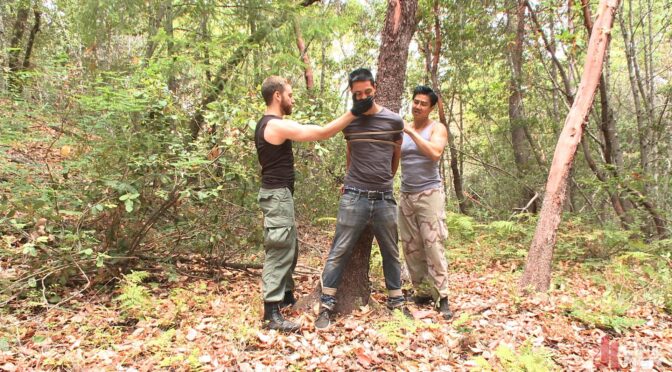 Tied up in the woods