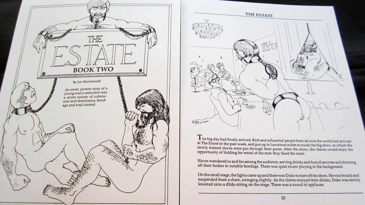 Collectors item for sale: ‘The Estate’ illustrated books by Leo Ravenswood