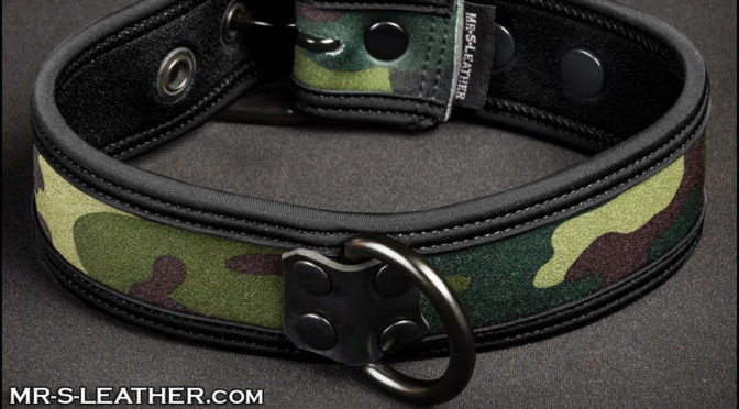 What color is your Neo Puppy Collar?