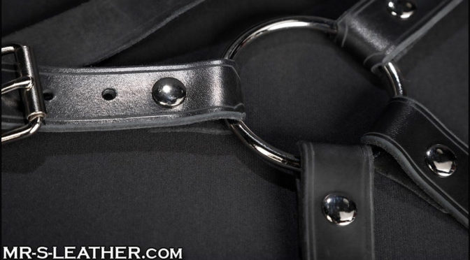 Strap on a dildo with this leather harness