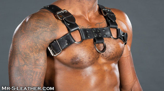 leather harness male bdsm