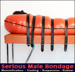 custom-made sarcophagus for male bondage