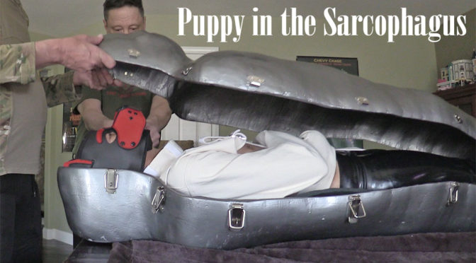 Puppy in the sarcophagus