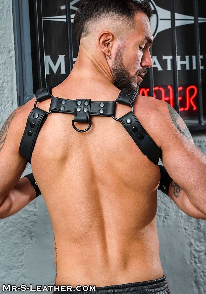 leather look vegan harness