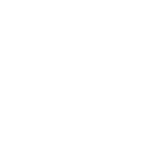 Eagle NYC