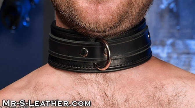 Leather Boy Collar