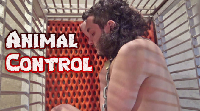 Video: Animal Control