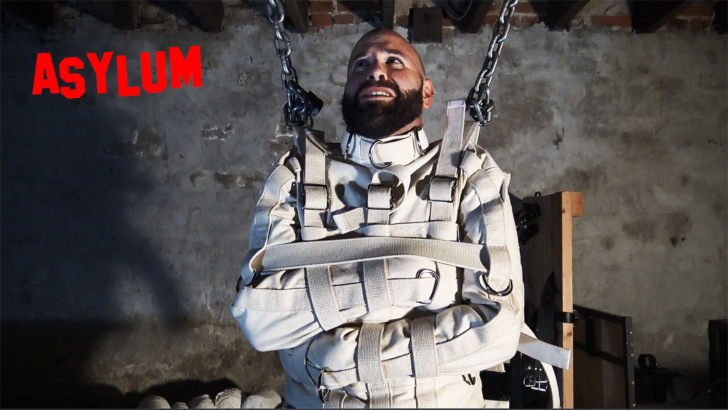 Video: Asylum