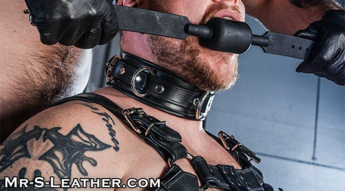 Male BDSM gear: Gags
