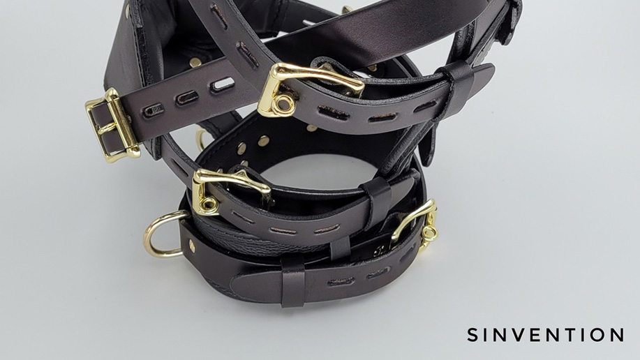 Leather head cage with locking straps
