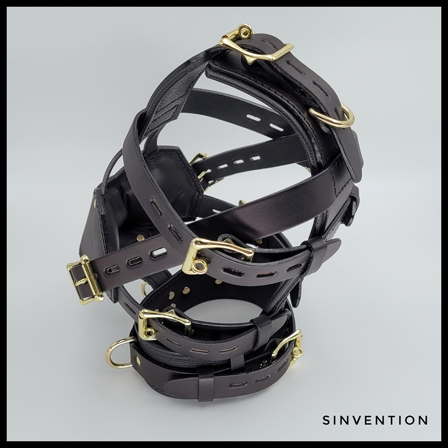 Leather head cage with locking straps