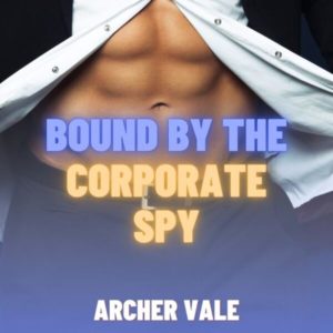 Archer Vale is an author of male domination stories