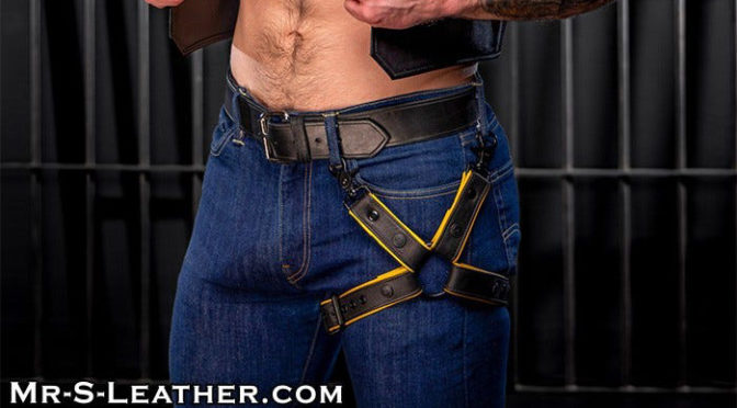 Leather Leg Harness