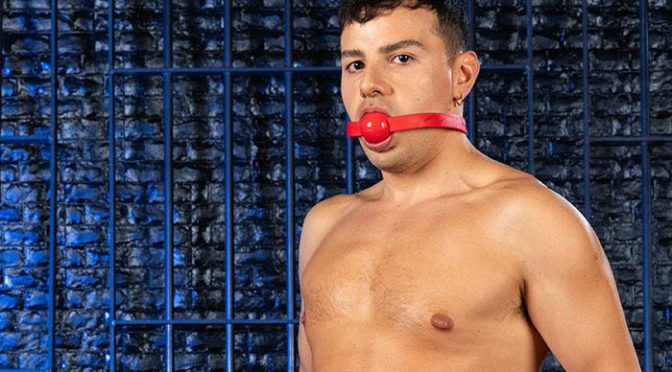 Ultimate Silicone Ball Gag from Silencilicone