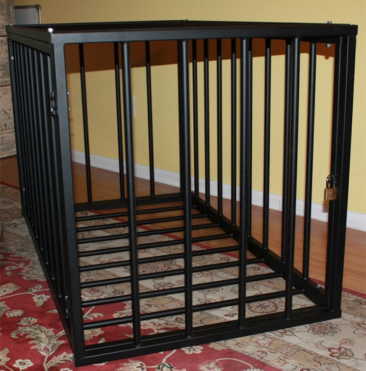 metal cage Dungeon Delights Under New Ownership