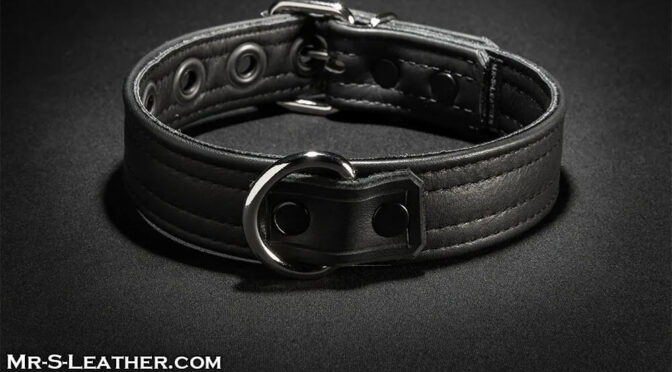 Leather Puppy Collar