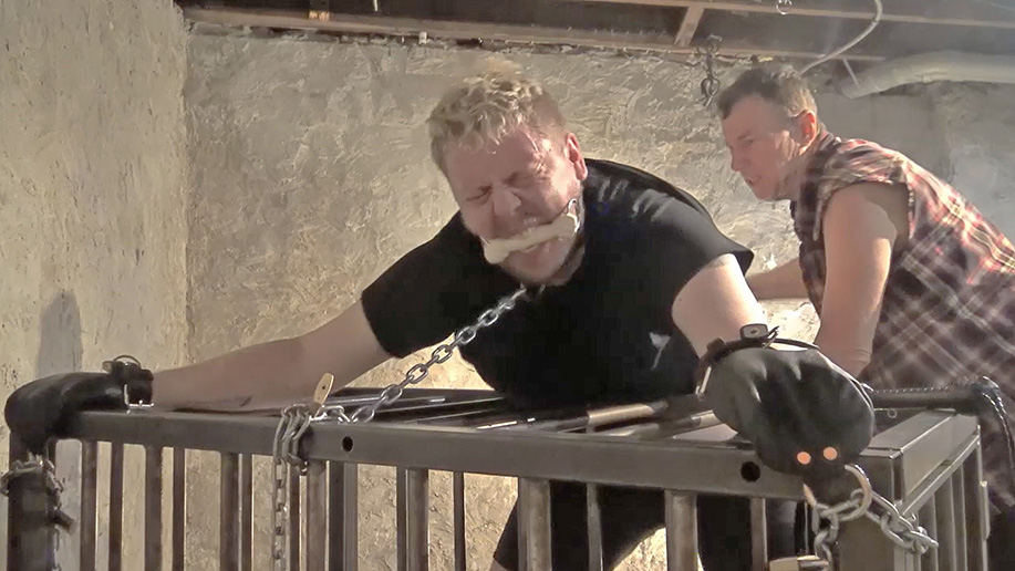 human male dog bondage play