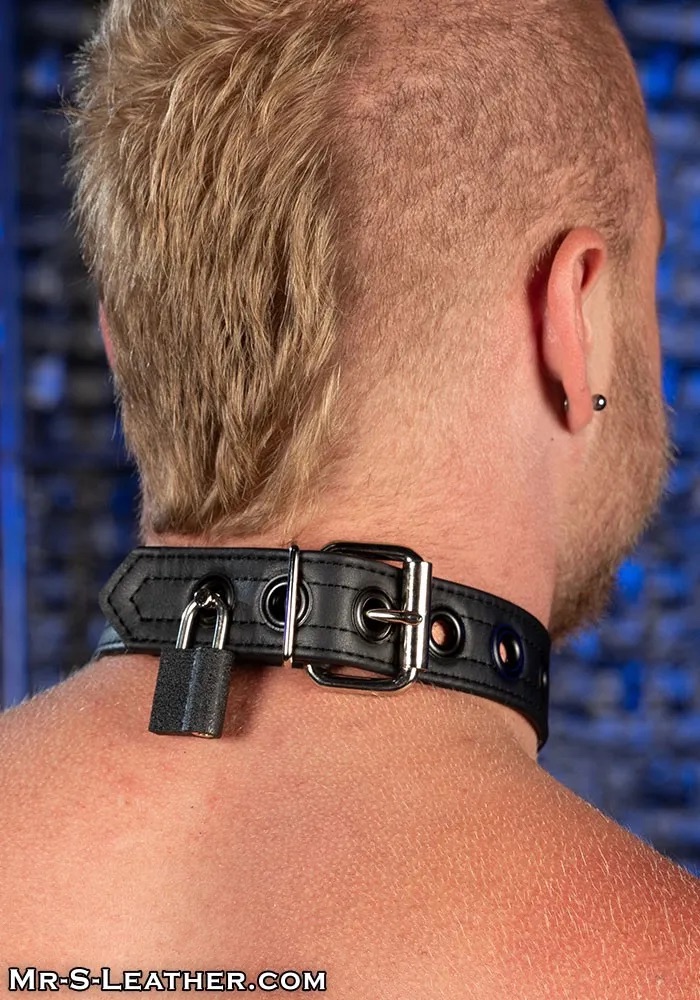 This collar is made of supple garment leather, solid rivets, and a locking post