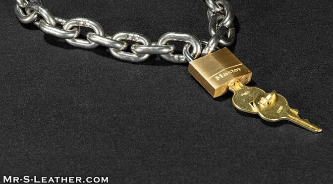 Big Dog Stainless Steel Collar