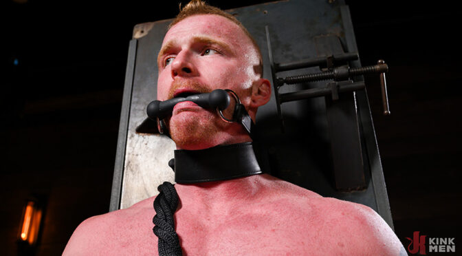 The Adventure of Brody Fox: Part Two – The Electro Dom