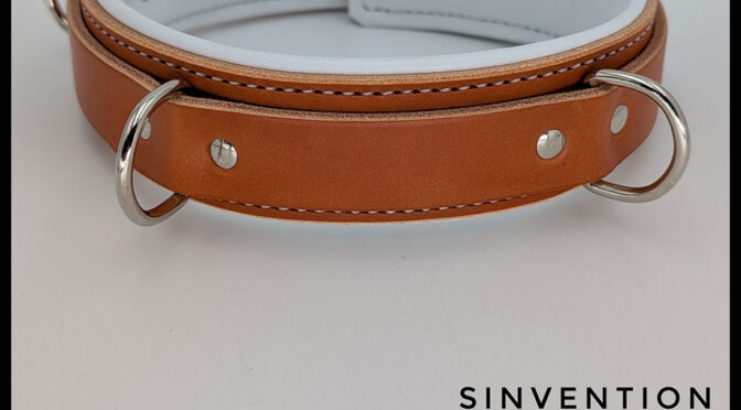 Narrow Padded Asylum Collar From Sinvention
