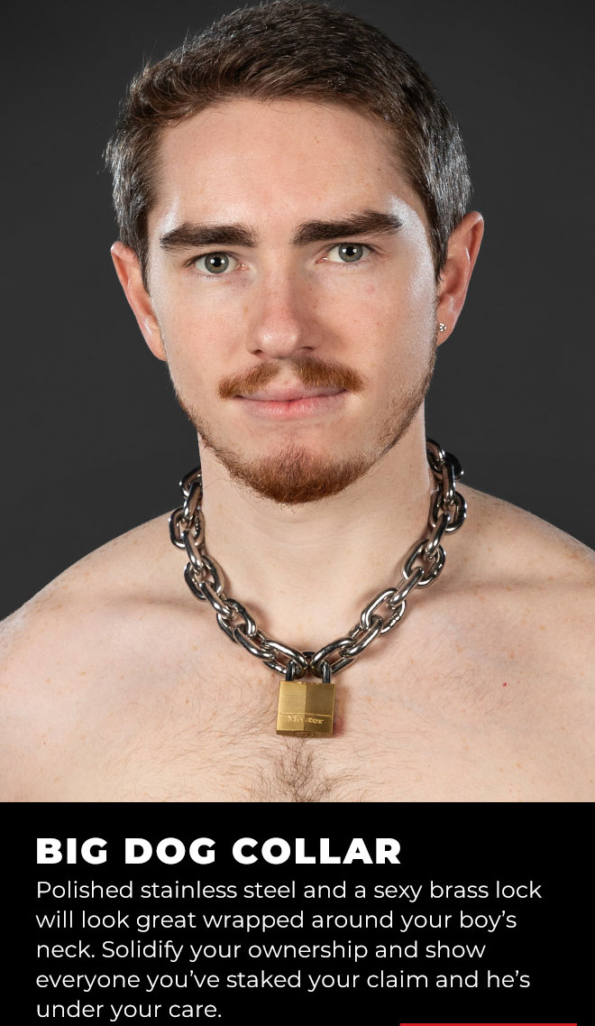 Big Dog Stainless Steel Collar