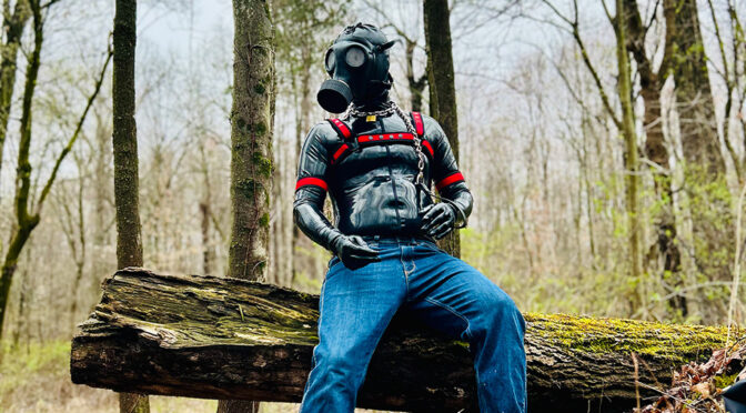 Bondage Transportation Service By PupMax