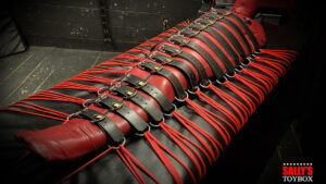 Real Talk: A Full Day in Bondage