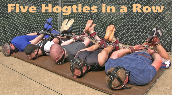Five Hogties in a Row