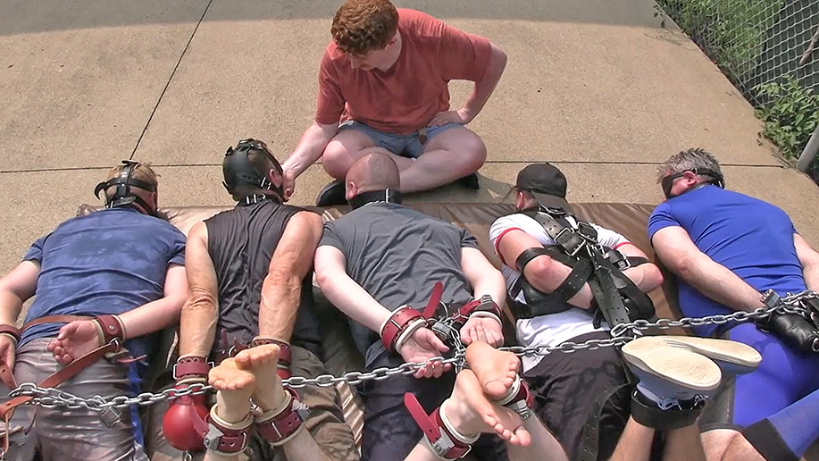 Five Hog Ties in a Row