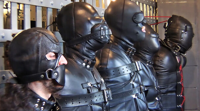 Check out these new videos from Men in Chains