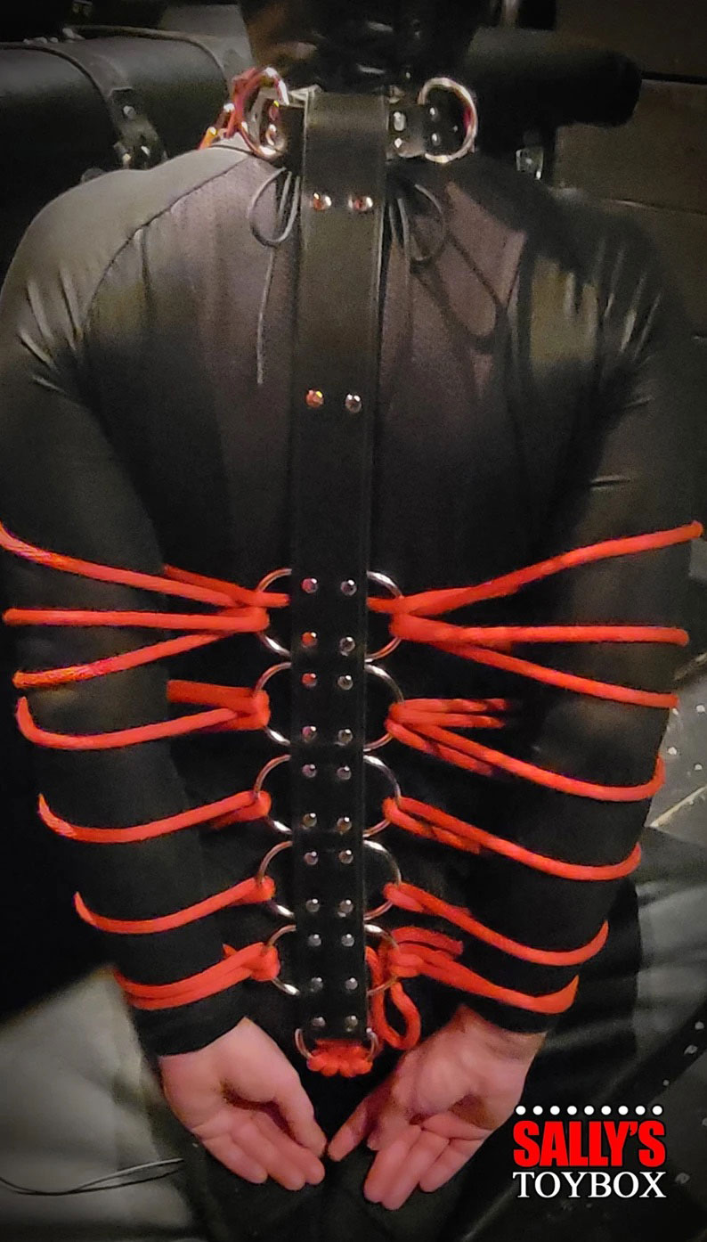 Armbinder With Attached Posture Collar