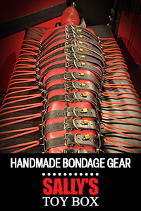 Armbinder With Attached Posture Collar