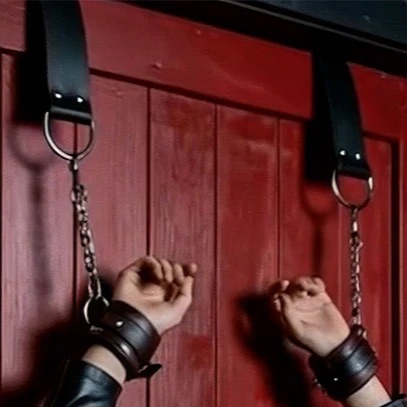 Leather BDSM Door Restraints