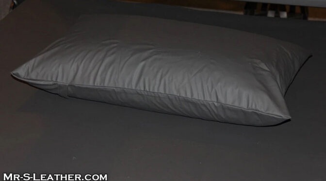 Sheets of SF Pillow Case